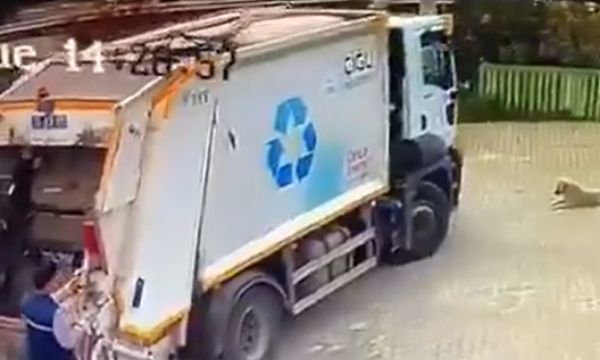 Uyuyan köpeği ezdi!